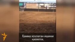 Ахмадбайдын талоонго түшкөн фермасы