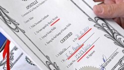 Вианни Солис: Президентке документ жөнөтүшүбүз мүмкүн эмес