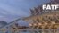 La o reuniune a Financial Action Task Force 