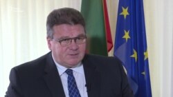 Критику України потрібно сприймати як діалог між друзями – Лінкявічус