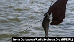 Nadležni za sada ne uspijevaju, ili ne umiju, da se obračunaju sa krivolovcima