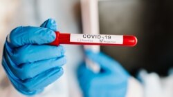 Коронавируста К тамгасынан куралган көз караш