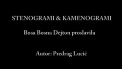 STENOGRAMI & KAMENOGRAMI: Bosa Bosna Dejton proslavila