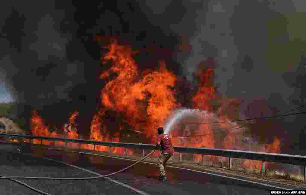 Zjarrfikësit duke bërë përpjekje për shuarjen e zjarreve të egra në një zonë rurale të Marmarisit. (1 gusht)