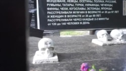 «Страх і патріотичне похмілля». Справа Сенцова в Ростові-на-Дону