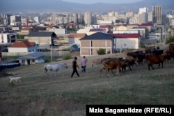 ადრე ამ ადგილას სოფელ დიღმელი მესაქონლეები მიერეკებოდნენ ნახირს