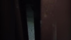 В Сурхандарье военные патрулируют улицы и разыскивают афганских беженцев