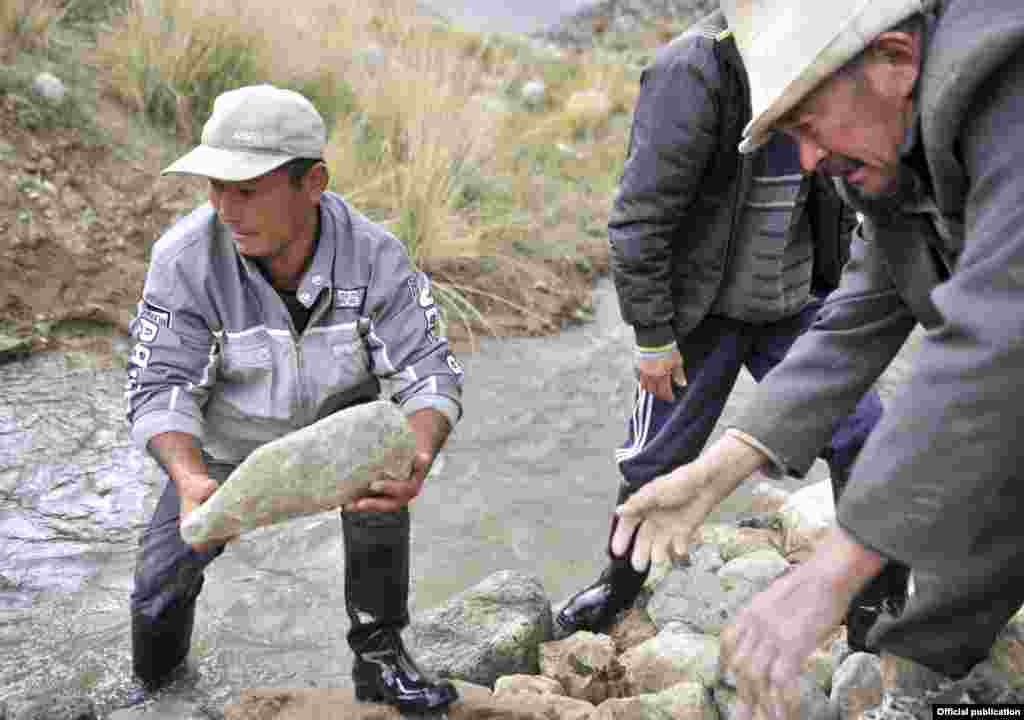 Для выполнения таких работ привлекаются малообеспеченные семьи, которые, таким образом, получают возможность временного трудоустройства