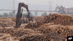 Жыгач материалдары. Иллюстрациялык сүрөт.