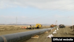 عکس تزئینی است