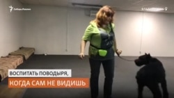 Незрячий тренер собак-поводырей не может получить документы из-за руководителей профессиональных школ