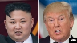 Presidenti amerikan, Donald Trump (djathtas) dhe lideri verikorean, Kim Jong Un.