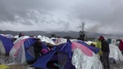 Stotine zaglavljene u makedonskom blatu