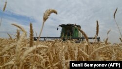 Иллюстративное фото.