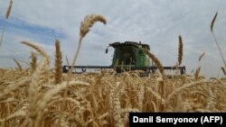 Иллюстрациялык сүрөт.