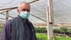 La sfârșit de săptămână 24 aprilie 2020 la seră