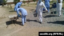 В Узбекистане медсестер и санитарок регулярно привлекают к неоплачиваемым общественным работам.