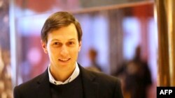 Джаред Кушнер