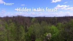 Springtime In The Tunnel Of Love