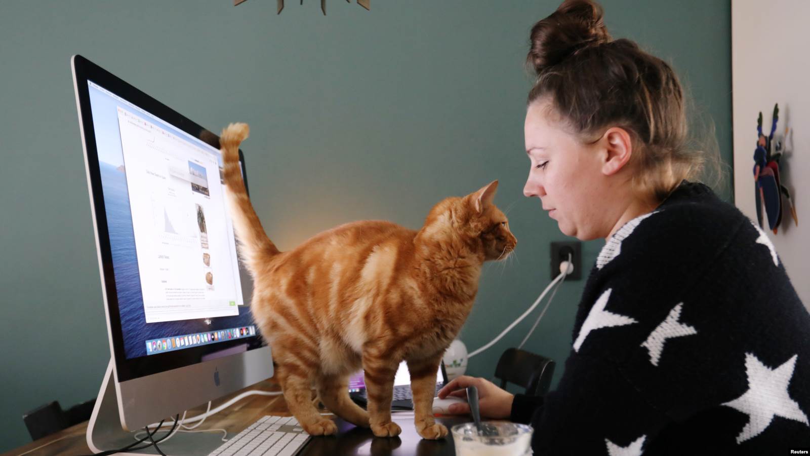 Një grua duke punuar nga shtëpia në Holandë.