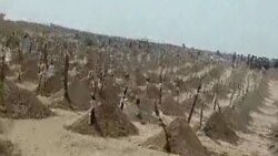 На кладбищах Туркменистана увеличивается количество новых могил