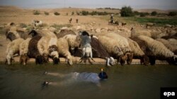 هاآرتص می‌نویسد که یهودی‌نشین‌های اسرائیل مشکل کمبود آب ندارند