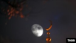 Иллюстрациялык сүрөт. 