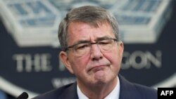 U.S. Secretary of Defense Ash Carter (file photo)