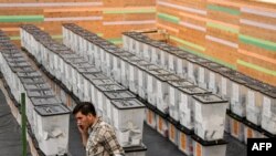 Fotografi nga zgjedhjet e vitit 2021 në Shqipëri