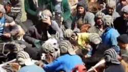 Аспи Шоҳиён - ғолиби бузкашӣ дар Мӯъминобод