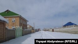 Винсовхоз, окрестности Джалал-Абада, 4 февраля