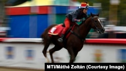 Elvágtató közpénzmilliók (képünk illusztráció)