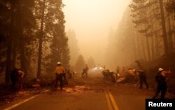 Vatrogasci gase požar Dixie u blizini Greenvillea, 7 augusta 2021.