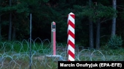 У зведенні огорожі беруть участь польські військові, вже зведено понад 10 кілометрів