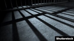 Иллюстративное фото. 