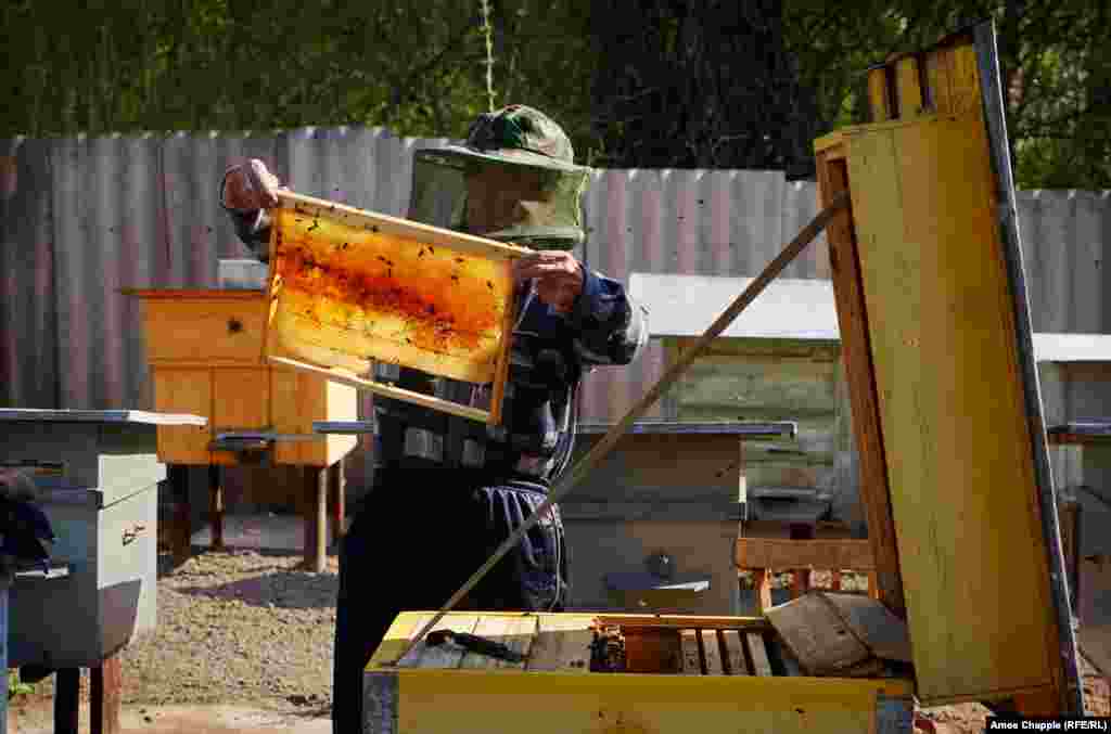 Василий үйдің қазір Қырымда тұратын иелері бірде ескі қоныстарын көруге келгенін айтады. &quot;Ешбір дау-дамай болған жоқ. Олар керісінше менің тұрып жатқаныма қуанды&quot; дейді Василий. Өзі болмаса, үйдің бұған дейін қирап қаларын айтқан ол омартасын тексеріп жүр.