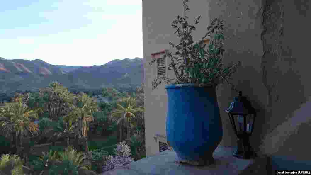 Вид на Пальмовый сад длиной в 250 км на трех уровнях &ndash; здесь финиковые пальмы, под ними фруктовые деревья, а на небольших участках между ними сеят клевер или картошку, здесь же пасут коз. Так как здесь зимы практически не бывает, в садах снимают урожай по несколько раз.