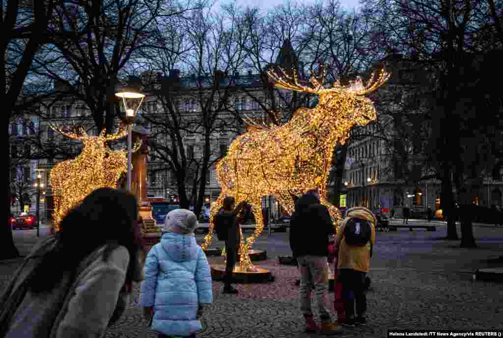 A helyiek is a csodájára járnak ezeknek a kivilágított rénszarvasoknak Stockholm központjában.