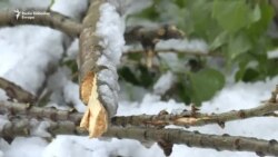 Aprilski snijeg u BiH