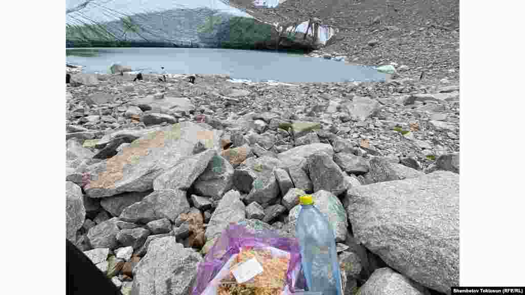 Талаанын тамагы таттуу болот эмеспи. Эскертүү: таштанды таштабагыла!&nbsp;