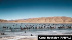 Нарындагы Ара-Көл көлү. Иллюстрациялык сүрөт.