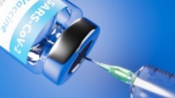 Intézzük mi vagy bízzunk az államban: a védettség nélküliek dilemmája a Sztoriban