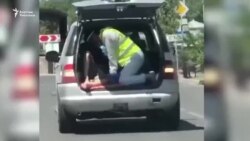 Борбор Азиянын алын сынаган пандемия