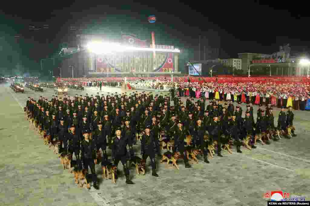 Katonák négylábú társaik kíséretében