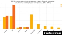 Эрте нике боюнча Акыйкатчы институтунун баяндамасы.