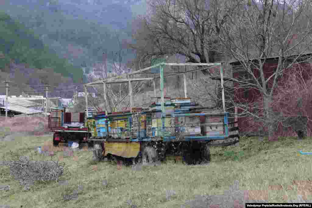Влітку ці вулики відвезуть вище в гори