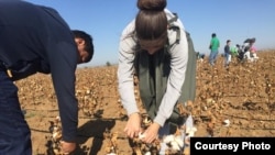 It's estimated that around 1 million people are forced into Uzbek fields each year to pick cotton.