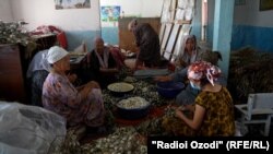 Бонувони пиллапарвар дар Конибодом