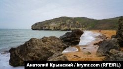 Палеонтологи припускають, що останки належать древньому киту цетотерію – предку сучасних вусатих китів, що досягають в довжину більше ніж 30 метрів