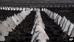 Ілюстраційне фото. Протитанкова система, відома як «зуби дракона», на кордоні з Росією в Харківській області, квітень 2024 року